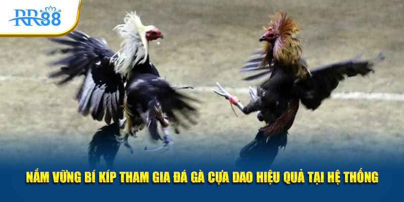 Nắm vững bí kíp tham gia đá gà cựa dao hiệu quả tại hệ thống